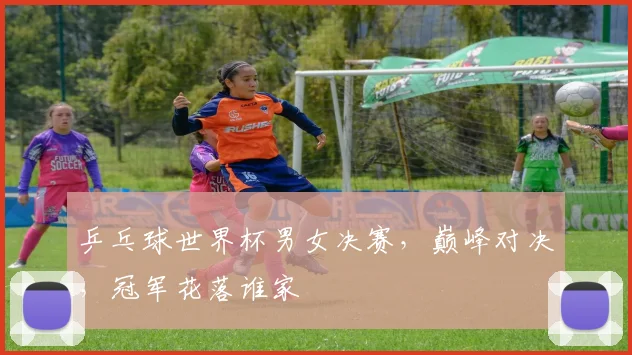 乒乓球世界杯男女决赛，巅峰对决，冠军花落谁家